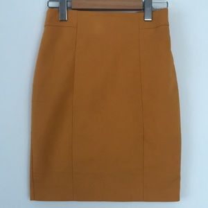 H&M Pencil Skirt
